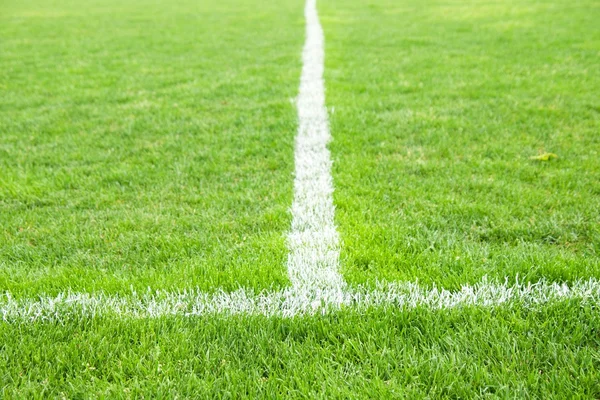 Kreuz gemalter weißer Linien auf natürlichem Fußballrasen. Beschaffenheit des Kunstrasens. — Stockfoto