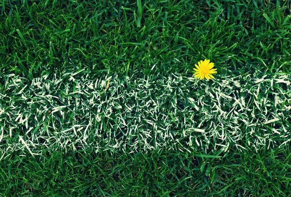 Cruz de linhas brancas pintadas na grama de futebol natural. Textura de relva verde artificial . — Fotografia de Stock