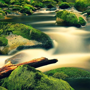 açık su bulanık dalgalar ile dağ nehir. yollar Rapids yosunlu kayalar ve kabarcıklar arasında beyaz eğriler oluşturmak.