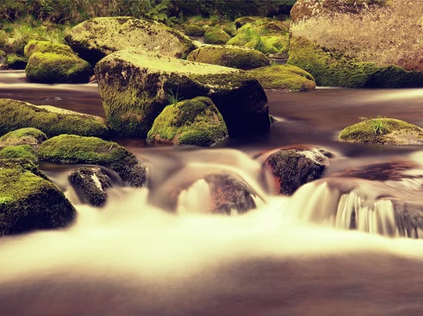 Pedregulhos grandes cobertos pelo musgo verde fresco na água espumosa do rio de montanha. Água fria desfocada clara com reflexos, hidromassagem branca em corredeiras . — Fotografia de Stock