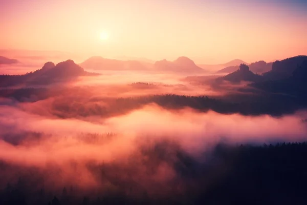 Nebliger Tagesanbruch in einem wunderschönen Hügelland. Berggipfel ragen aus dem nebligen Hintergrund, der Nebel ist durch Sonnenstrahlen gelb und orange. Der Nebel schwingt zwischen den Bäumen. — Stockfoto