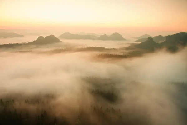 Neblig-melancholischer Morgen. Blick in ein langes tiefes Tal voller frischer Frühlingsnebel. Landschaft bei Tagesanbruch nach regnerischer Nacht — Stockfoto