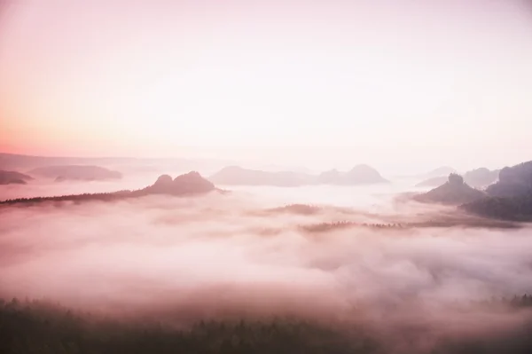 Misty melancholic morning. View into long deep valley full of fresh  spring mist. Landscape within daybreak after rainy night — Stock Photo, Image