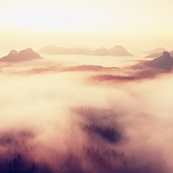 Misty melancholic morning. View into long deep valley full of fresh  spring mist. Landscape within daybreak after rainy night — Stock Photo, Image
