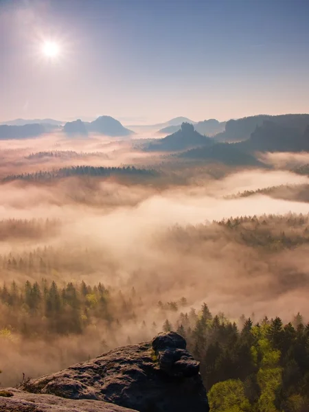 All'alba delle fate. Misty risveglio in una splendida collina. Picchi di colline sono sporgenti da sfondo nebbioso — Foto Stock