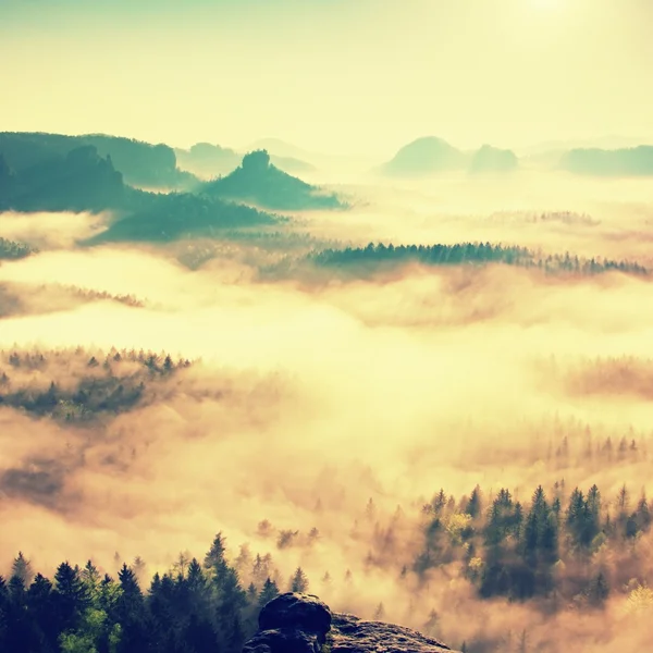 妖精の夜明け。霧の美しい丘の目覚め。丘の山頂が霧の背景から出ています。 — ストック写真