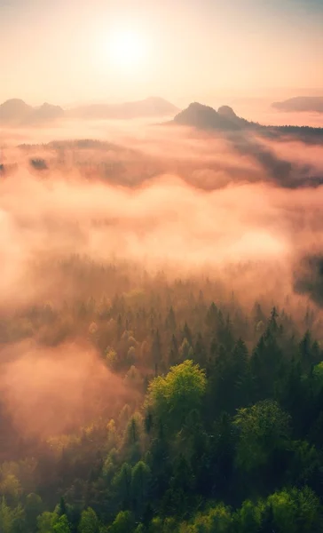 Märchenhafter Tagesanbruch. nebliges Erwachen in einem wunderschönen Hügelland. Berggipfel ragen aus nebligem Hintergrund — Stockfoto