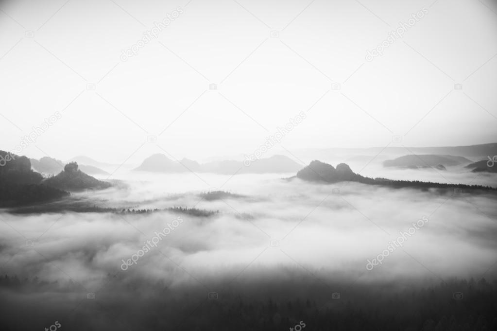 Misty melancholic morning. View into long deep valley full of fresh  spring mist. Landscape within daybreak after rainy night