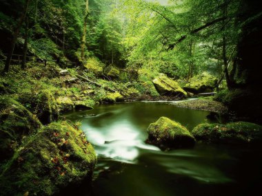 büyük taze yeşil yosunlu kayalar köpüklü su dağ nehir. ışık yansımaları, beyaz jakuziler Rapids ile soğuk su bulanık.