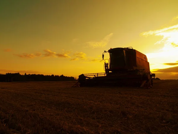 Abbandonato combinare grano raccolto nel mezzo di un campo agricolo. Mattina giallo grano campo sul tramonto nuvoloso arancio cielo sfondo . — Foto Stock