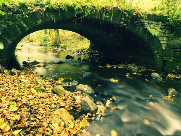 Old stony bridge above autumn river. Water of stream full of colorful leaves, leaves on gravel, blue blurred water is running over boulders — Stockfoto
