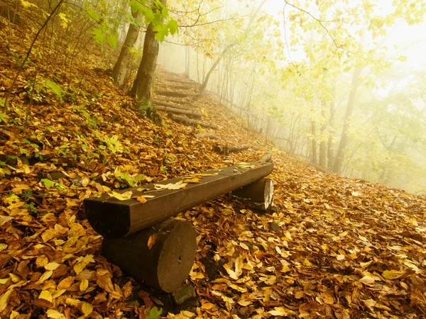 The autumn misty and sunny daybreak at beech forest, old abandoned bench below trees. Fog between beech branches without leaves. — Stock Photo, Image