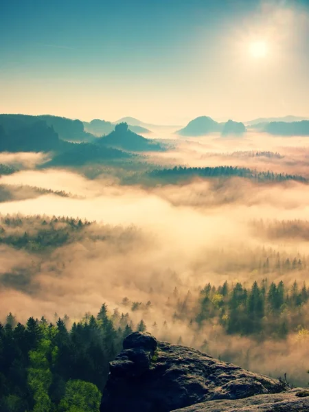 Märchenhafter Tagesanbruch. nebliges Erwachen in einem wunderschönen Hügelland. Berggipfel ragen aus nebligem Hintergrund — Stockfoto