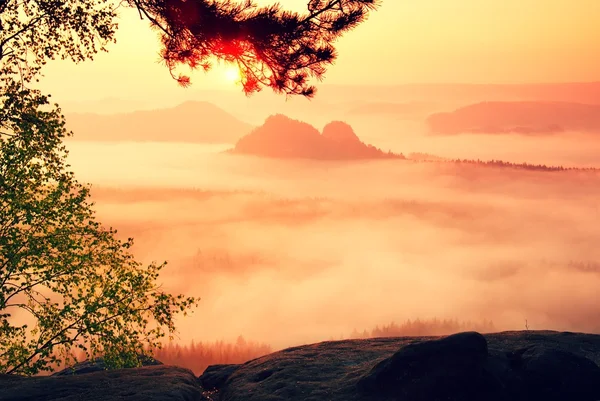 Amazing place with red dreamy mist in deep valley — Stock Photo, Image