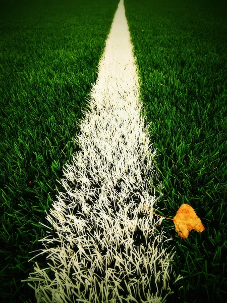 Ende der Fußballsaison. trockenes Birkenblatt, das auf den Boden des grünen Kunstrasens mit gemalter weißer Linie gefallen ist. Dramatische Farben. — Stockfoto