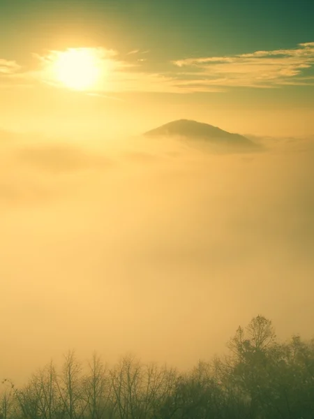 Magnífica niebla pesada en el paisaje. Otoño fogy amanecer en un campo. Colina aumentada de niebla . —  Fotos de Stock