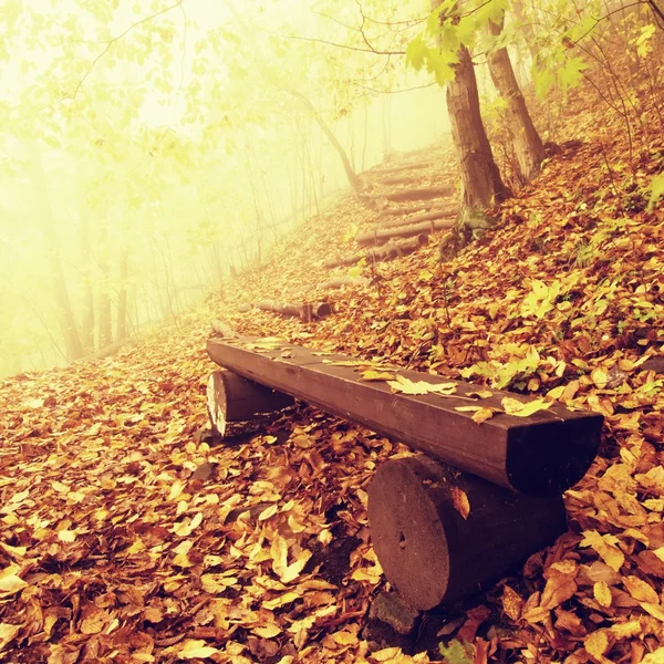 Le lever du jour automnal brumeux et ensoleillé à la forêt de hêtres, vieux banc abandonné sous les arbres. Brouillard entre branches de hêtre sans feuilles . — Photo