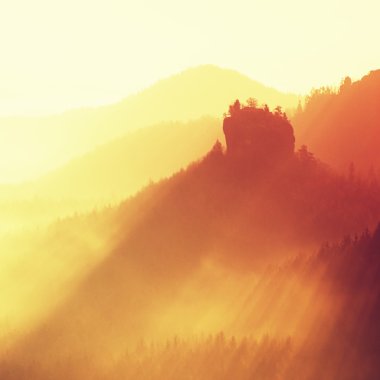 Colorful sunrise in a beautiful mountain of Czech-Saxony Switzerland. Hilly peaks increased from orange foggy background.
