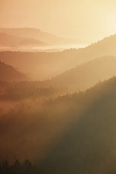 Amanhecer nebuloso da colina sobre o belo Vale e a floresta — Fotografia de Stock