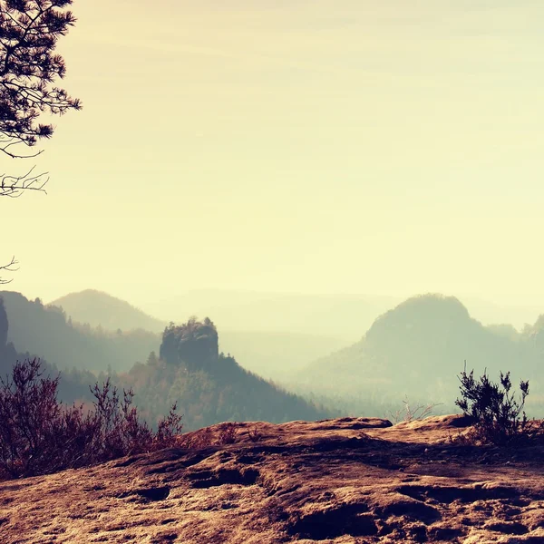 The peak of cliff with bush of heather. Beautiful valley of rocky mountains park. — Stock Photo, Image