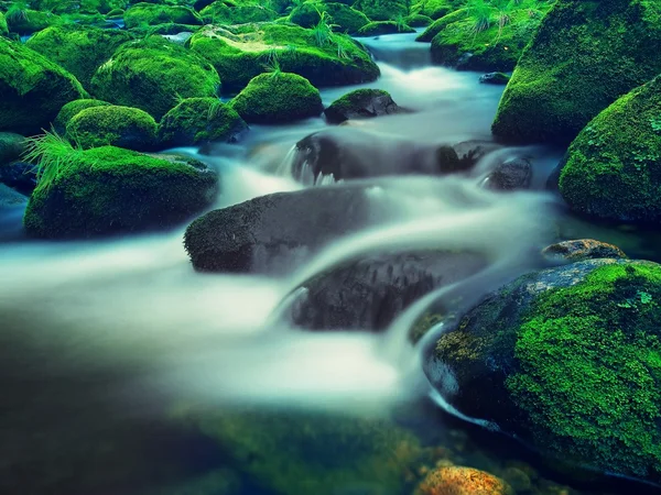 Big boulders covered by fresh green moss in foamy water of mountain river. Light blurred cold water with reflections, white whirlpools in rapids. — Stock Photo, Image