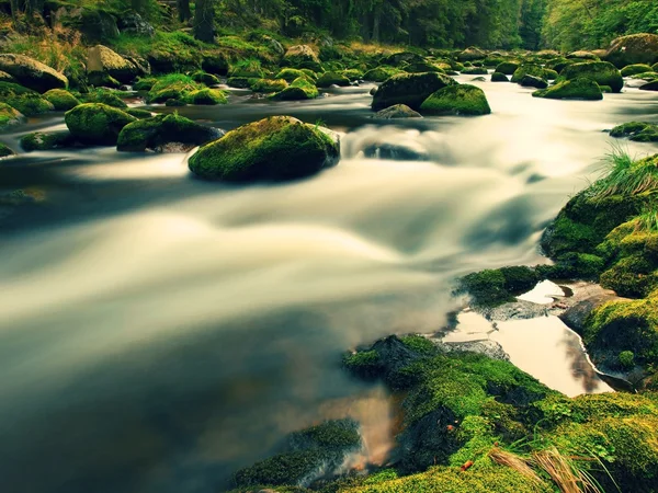 Big boulders covered by fresh green moss in foamy water of mountain river. Light blurred cold water with reflections, white whirlpools in rapids. — Stock Photo, Image