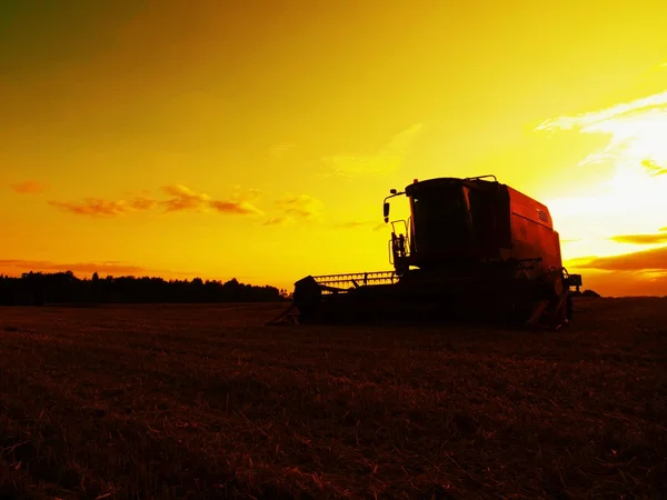 Abbandonato combinare grano raccolto nel mezzo di un campo agricolo. Mattina giallo grano campo sul tramonto nuvoloso arancio cielo sfondo . — Foto Stock
