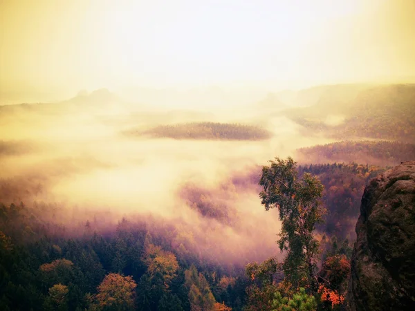 Roter Tagesanbruch. nebliger Tagesanbruch in einem wunderschönen Hügelland. Berggipfel ragen aus nebligem Hintergrund. — Stockfoto