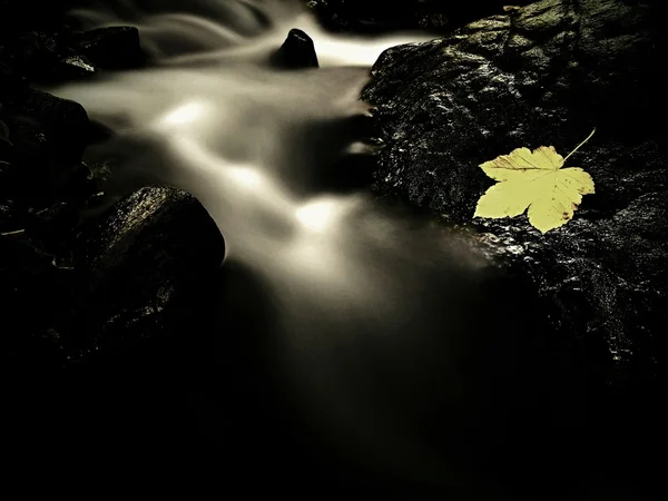 秋天五彩斑斓的叶子在溪流湿滑石上的弃船者 — 图库照片