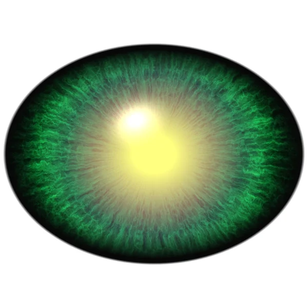 Isolerade grönt gult öga. Grön slät iris runt elliptiska gula näthinnan. — Stockfoto