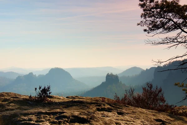 The peak of cliff with bush of heather. Beautiful valley of rocky mountains park. — Stock Photo, Image