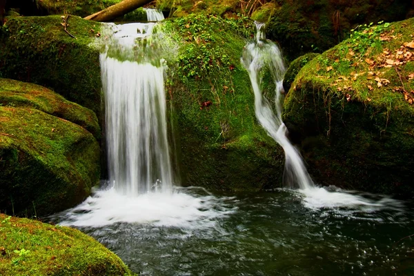 Kaskade auf kleinen Gebirgsbach. Kaltes Kristallwasser fällt über basaltbemooste Felsbrocken in kleines Becken. — Stockfoto