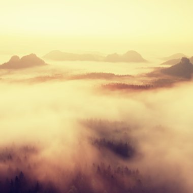 Colorful isty morning. Landscape within daybreak after rainy nightL Filtered image processed vintage effect.