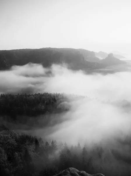 Neblig-melancholischer Morgen. Blick in ein langes tiefes Tal voller frischer Frühlingsnebel. Landschaft bei Tagesanbruch nach regnerischer Nacht — Stockfoto