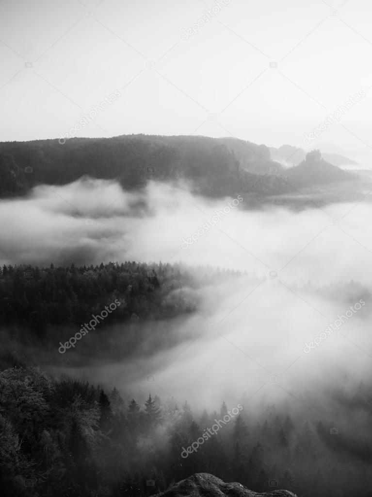 Misty melancholic morning. View into long deep valley full of fresh  spring mist. Landscape within daybreak after rainy night