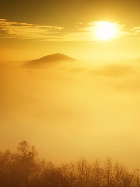 Herrlich schwerer Nebel in der Landschaft. herbstlich nebliger Sonnenaufgang in einer Landschaft. Hügel aus Nebel aufgestiegen. — Stockfoto