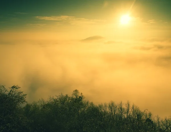 Magnífica niebla pesada en el paisaje. Otoño fogy amanecer en un campo. Colina aumentada de niebla . —  Fotos de Stock