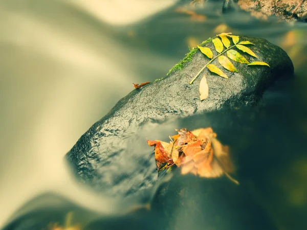 Gravel in water of mountain river covered by colorful aspen and beech leaves. Fresh green leaves on branches above water make green reflection in level. — Stock Photo, Image