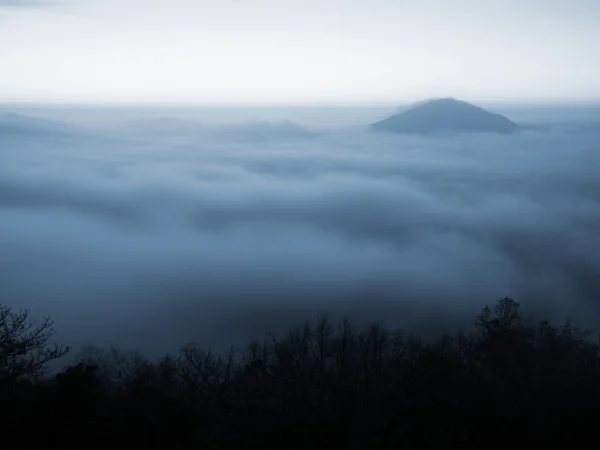 Fairy fogy sunrise in a countryside. Hill increased from fog, the fog is colored to golden and orange. — Stockfoto