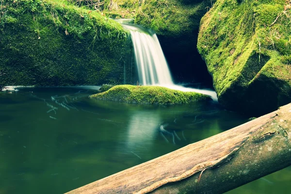 Torrent, horské bystřiny s mechem kamenů, skal a padlý strom. — Stock fotografie