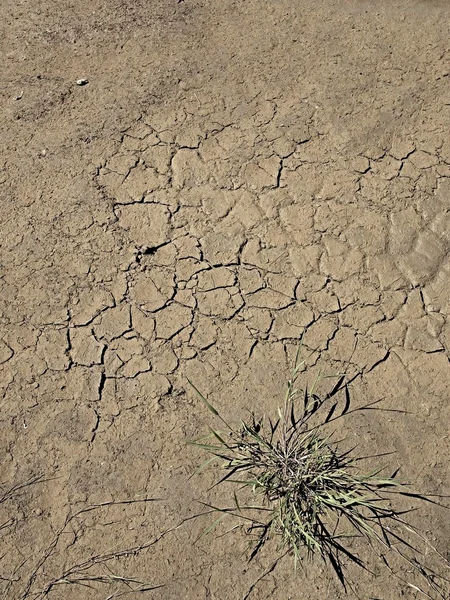 Argila quebrada extremamente seca do campo de trigo. chão empoeirado com rachaduras profundas — Fotografia de Stock
