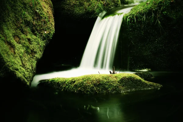 Kaskade auf kleinen Gebirgsbach. Kaltes Kristallwasser fällt über basaltbemooste Felsbrocken in kleines Becken. — Stockfoto