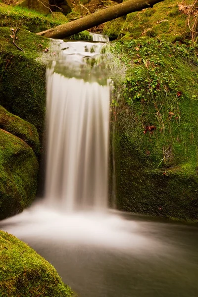 Kaskad på liten fjällbäck. Kall kristall vatten faller över basalt mossiga stenblock ner liten pool. — Stockfoto