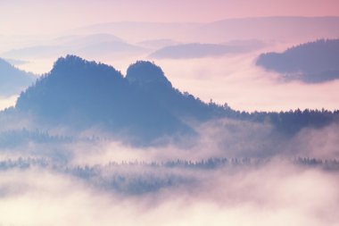 Renkli sabah güzel bir dağlık manzara içinde. Hills doruklarına sis yapışkanlık dışarı. Sis ağaçlar arasında sallanan.