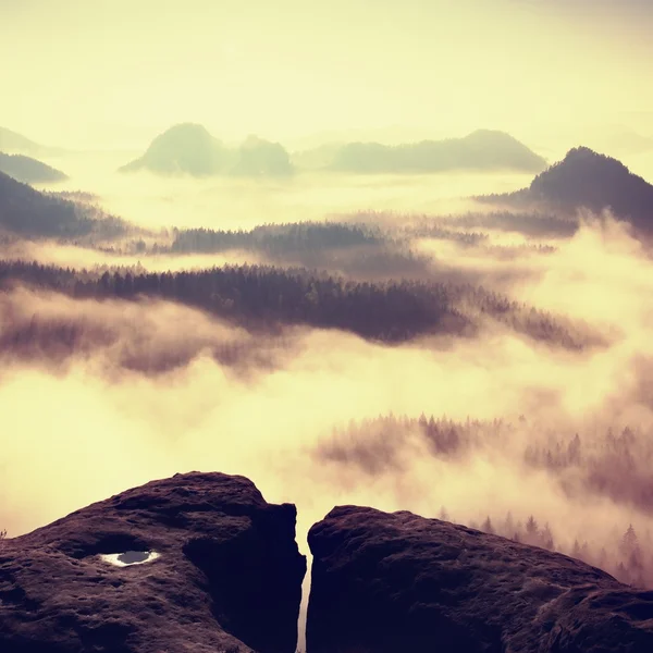 Ονειρική Χαραυγή στην κορυφή του βραχώδους βουνού με την θέα στην κοιλάδα ομιχλώδη — Φωτογραφία Αρχείου