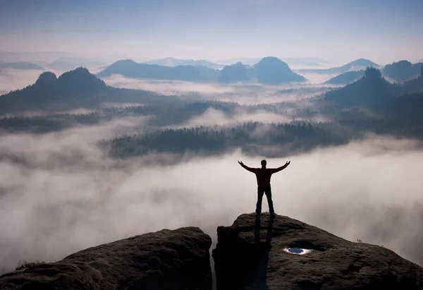 Gesto de triunfo. Feliz excursionista de negro. Hombre alto en el pico de roca arenisca en el parque nacional de Sajonia Suiza por encima del valle —  Fotos de Stock