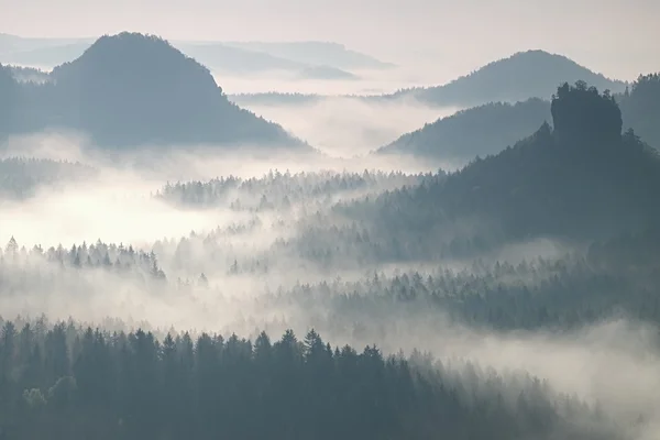 Colorful daybreak in a beautiful hilly landscape. Peaks of hills are sticking out from fog. The fog is swinging between trees. — Stock Photo, Image