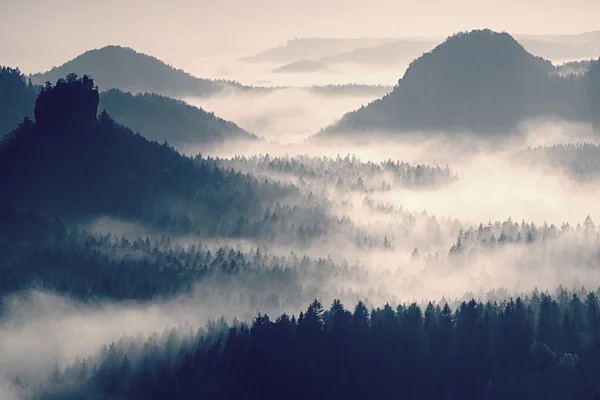 Kolorowy brzask w piękny krajobraz pagórkowaty. Szczytami wzgórz są wystające z mgły. Mgła jest kołysanie między drzewami. — Zdjęcie stockowe