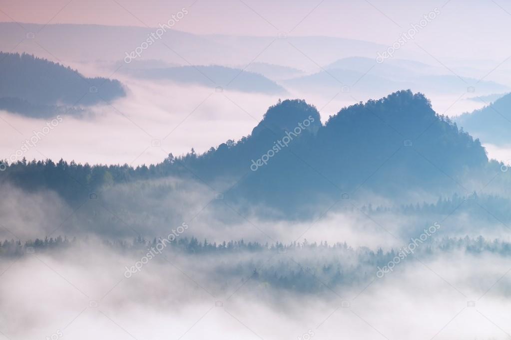 Colorful daybreak in a beautiful hilly landscape. Peaks of hills are sticking out from fog. The fog is swinging between trees.