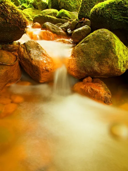 Kaskaden im schnellen Strom von Mineralwasser. rote Eisensedimente auf großen Felsbrocken zwischen grünen Farnen. — Stockfoto